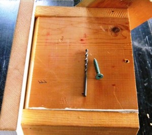 Wren Birdhouse Door Screw Wren Birdhouse Door Screw
