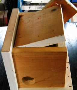 Wren Birdhouse Hinged Door Wren Birdhouse Hinged Door