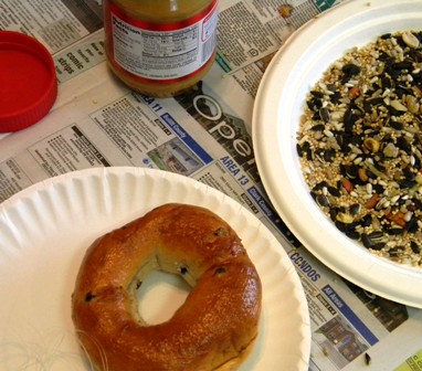 Bagel Bird Feeder