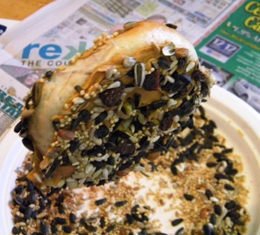 Bagel Bird Feeder