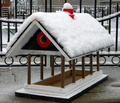 Bird Feeder After Snow