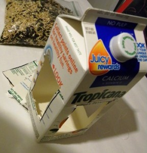 Cut Windows Milk Carton Bird Feeder
