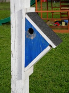 Peterson Bluebird House