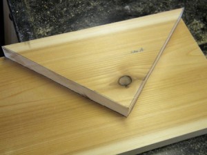 Trace Birdhouse Side