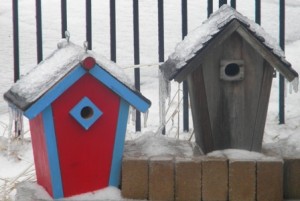 Wooden Birdhouse