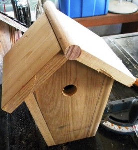 Roof added to Birdhouse